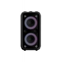 Fenda PA200, fm, black, портативная акустика