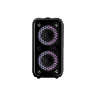 Fenda PA200, fm, black, портативная акустика