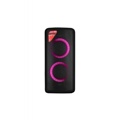 Fenda PA300, fm, black, портативная акустика