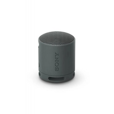 Sony SRS-XB100, черный, портативная колонка