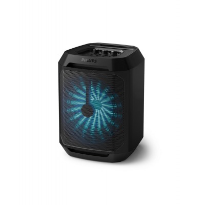 Philips TAX2208, аудиосистема