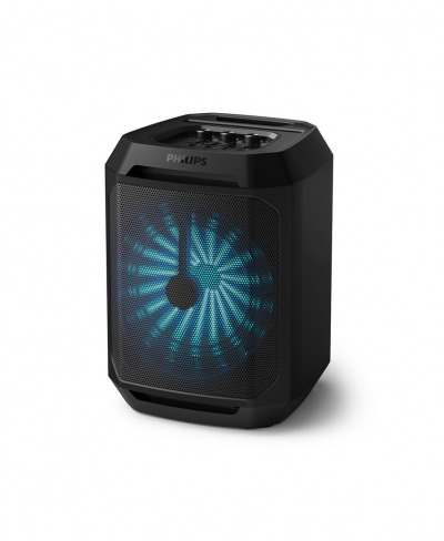 Philips TAX2208, аудиосистема