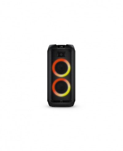 Philips TAX4209, аудиосистема