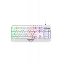 2E GAMING KG315 110key, USB-A, EN/RU, RGB, white, клавиатура