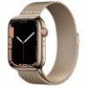 Apple Watch 7 45mm Stainless Steel gold, смарт-часы