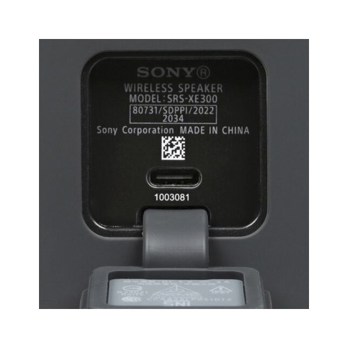 Sony SRS-XE300, портативная акустика