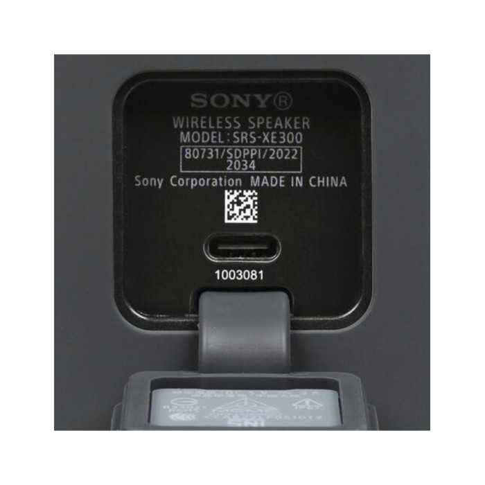 Sony SRS-XE300, портативная акустика
