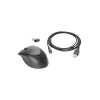 HP Wireless Premium Mouse, оптическая беспроводная мышь