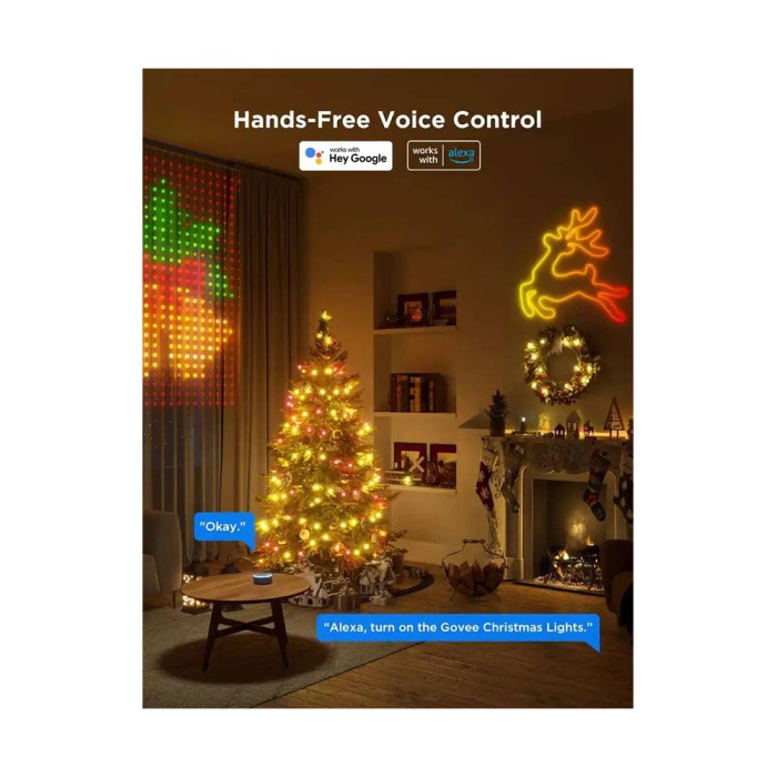 Govee H70C1 Christmas Light RGB IP65 10м, гирлянда