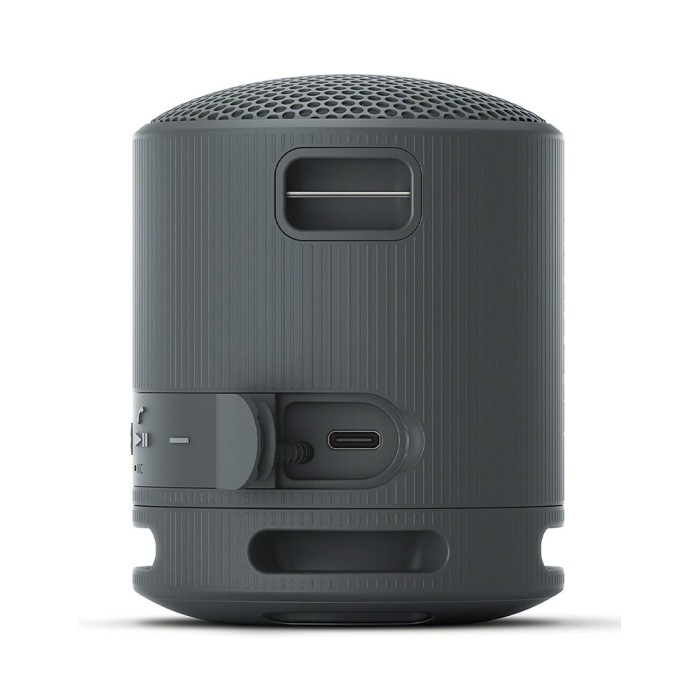 Sony SRS-XB100, портативная акустика