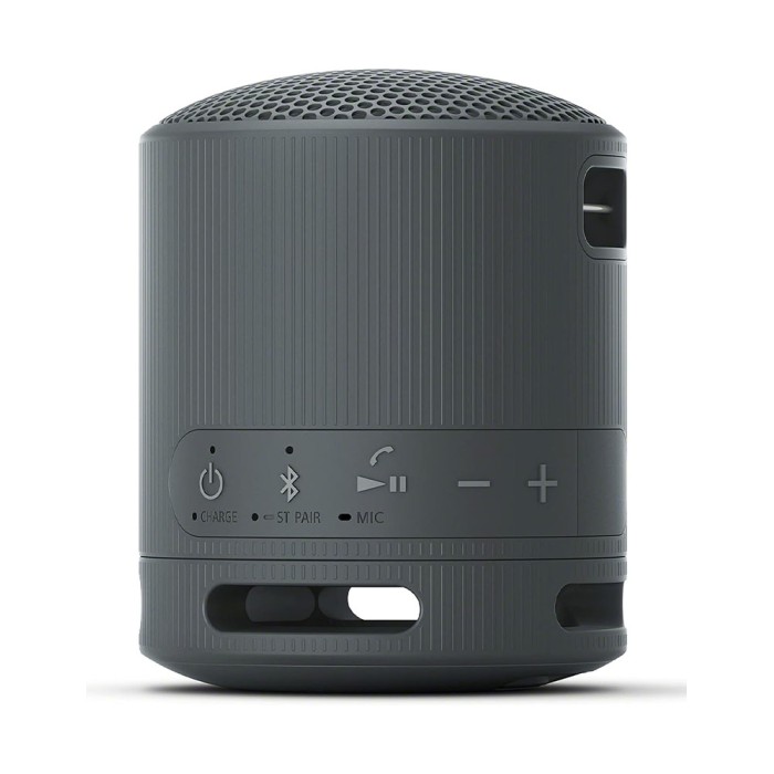 Sony SRS-XB100, портативная акустика