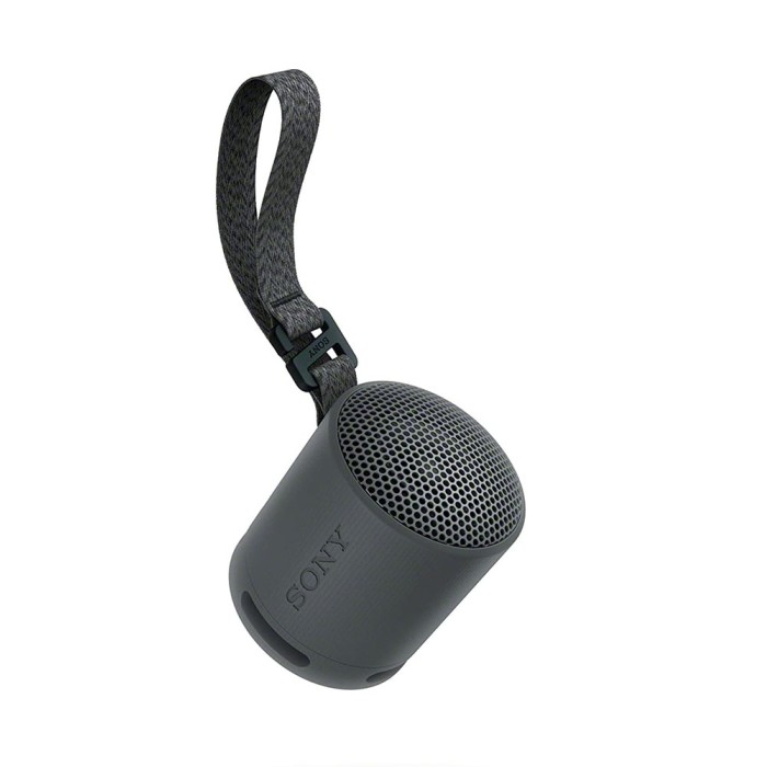 Sony SRS-XB100, портативная акустика