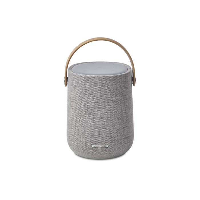 Harman Kardon Citation 200 серый портативная акустика